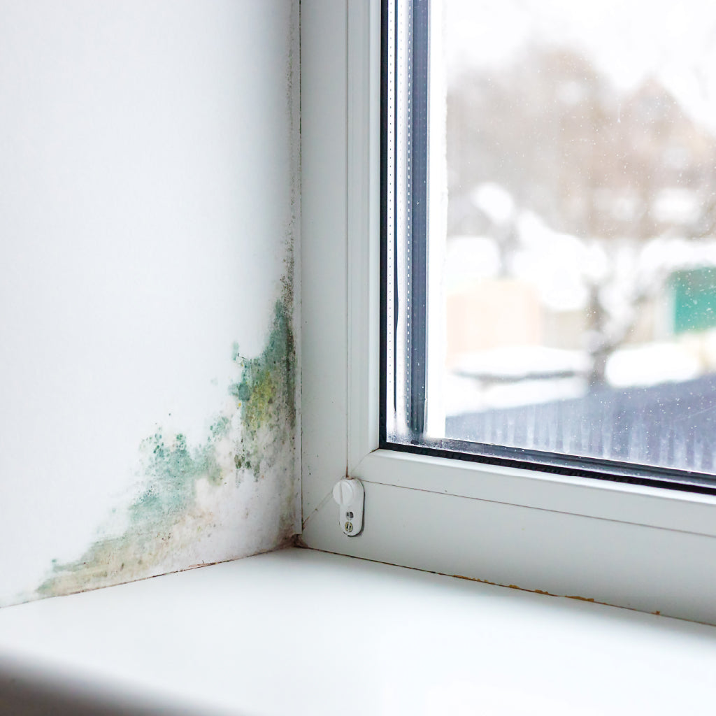 Learn why mould appears, how to remove it safely without bleach, and the simple steps to keep it from coming back. This easy-to-follow guide covers causes, prevention, and the best products for lasting results.