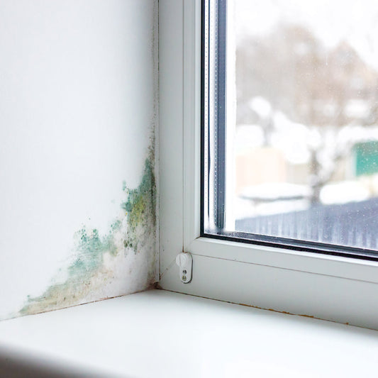 Learn why mould appears, how to remove it safely without bleach, and the simple steps to keep it from coming back. This easy-to-follow guide covers causes, prevention, and the best products for lasting results.