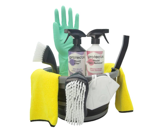 Mould removal and cleaning supplies including gloves, sprays, and a scrubber in a bucket on a white background